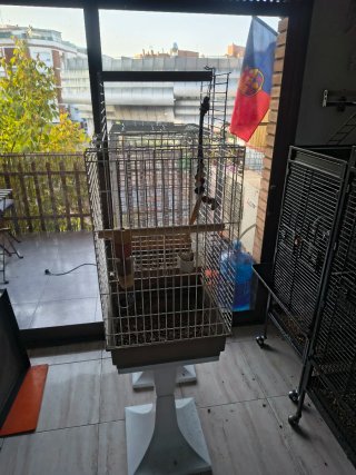 Jaula para loro yaco tengo dos cada una 80 con p