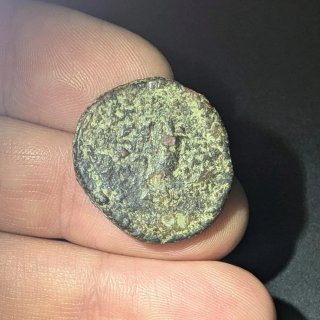 Moneda griega Apamea Siria 9-8 a.C.