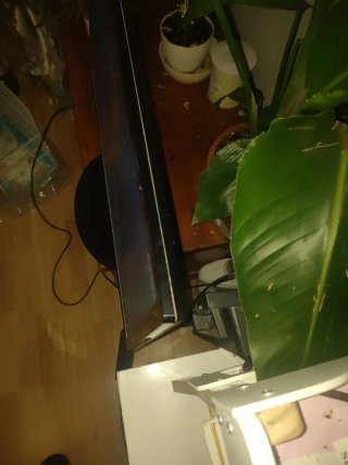 Televisor LG
