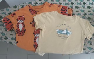 Lote 2 Camisetas Niño Manga Corta