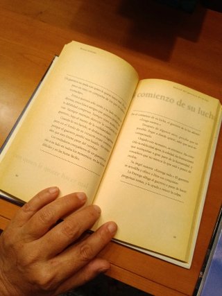 Manual del Guerrero de la Luz - Paulo Coelho