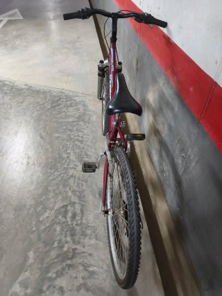 Bicicleta TOPBIKE Hobby 100