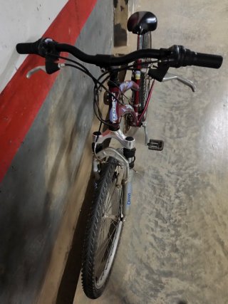 Bicicleta TOPBIKE Hobby 100