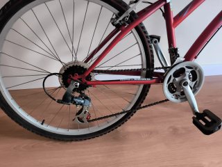 Bicicleta TOPBIKE Hobby 100