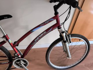 Bicicleta TOPBIKE Hobby 100