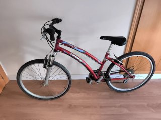 Bicicleta TOPBIKE Hobby 100