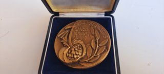 Medaglia Commemorativa in Bronzo San Riccardo Pamp