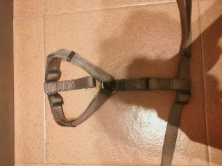 Pettorina per cani marrone