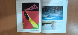 El diseño en la publicidad, Robin Landa Anaya