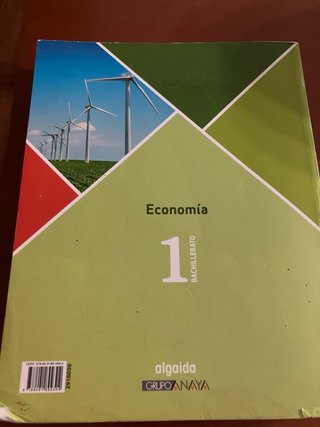 Economía 1 Bachillerato