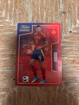 Panini Tributo Rodrigo España