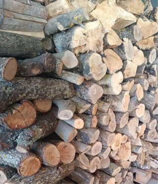Leña de olivo y encina para chimenea