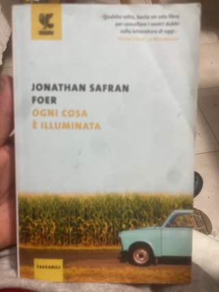 Ogni cosa è illuminata