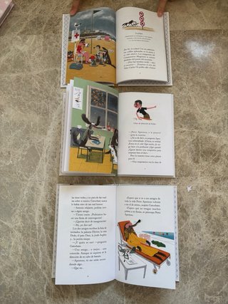 Lote 6 Libros Perro Apestoso