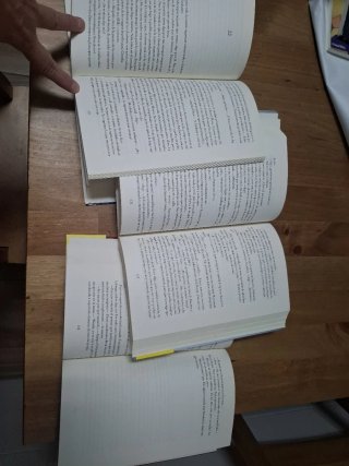 La asistenta