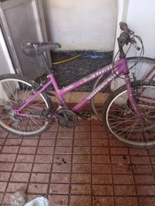 Bicicleta Morada Montaña