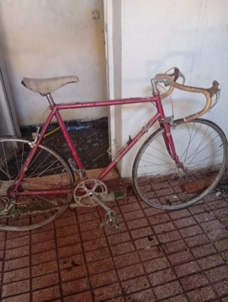 Bicicleta Morada Montaña