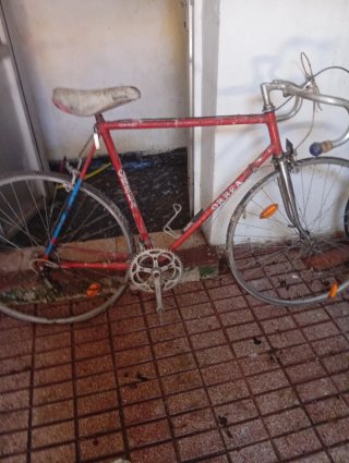 Bicicleta Morada Montaña