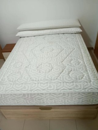 Cama canapé con colchón y 2 almohadas