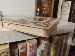 Libro habitación