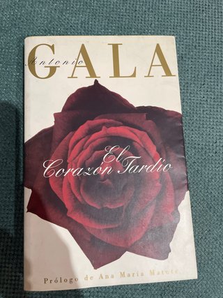 Corazon tardio (b.gala) (Spanish Edition)