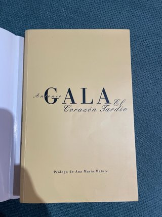 Corazon tardio (b.gala) (Spanish Edition)