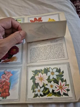 Álbum Vida y Color 1965 Completo