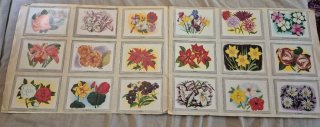 Álbum Vida y Color 1965 Completo