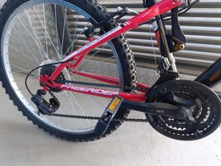 Bicicleta MTB Freerider 24