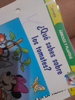 Archivador con fichas disney planeta agostini