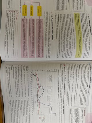 Economía 1º Bachillerato