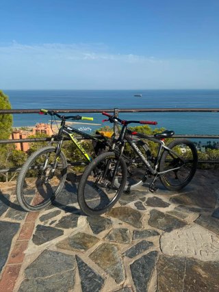 Bici de Stunt Rockrider