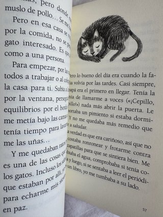 Tres historias con gato