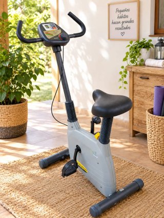 Bicicleta Estática Gris