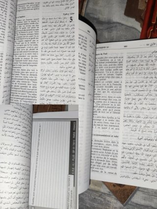 Lote de libros árabes francés 1