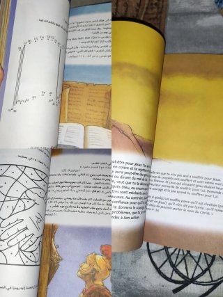 Lote de libros árabes francés 1