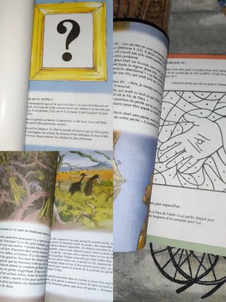 Lote de libros árabes francés 1