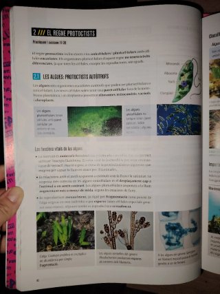 Biologia i Geologia 1r Secundària Llibre alumne...