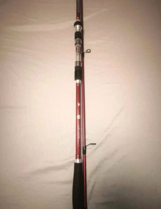 Caña de pescar RAISER 3002 UP TO 100G