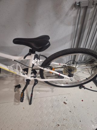 Bicicleta Riverside 100 24 pulgadas 9 a 12 años