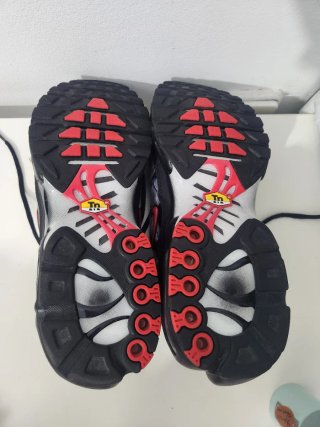 Zapatillas Nike Air Max Plus TN