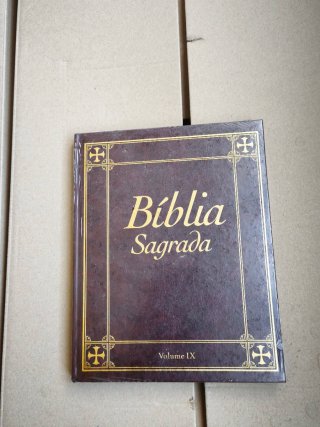 Bíblia Sagrada Volume IX