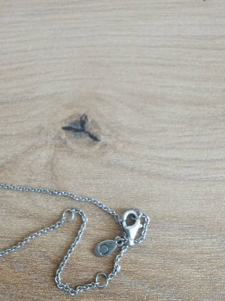 Collar PANDORA Plata - Círculos Entrelazados Pavé