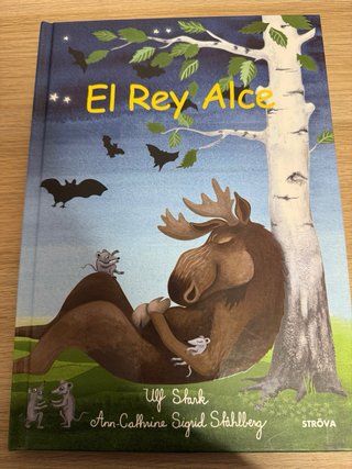 Lote de libros infantiles-juveniles