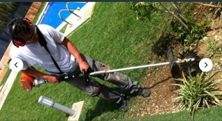 Jardineria, Riego, Poda, Plantacion