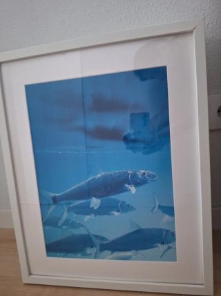 Cuadro Ikea ,varios