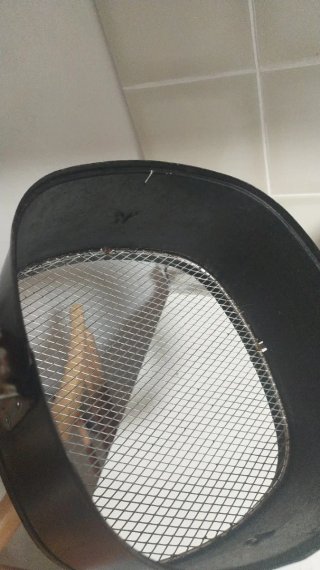 Philips Airfryer