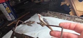 Orologio a cucù Foresta Nera doppio uccellino