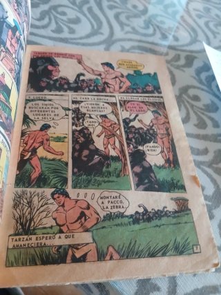 Tebeo "Tarzán de los monos"
