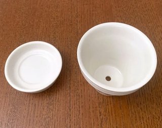 VILLEROY & BOCH - Vaso e sottovaso BOTANICA